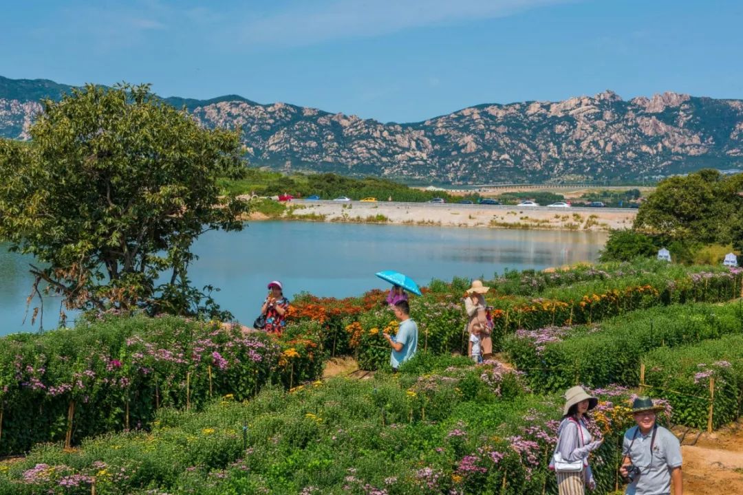 日照又一处网红打卡地!