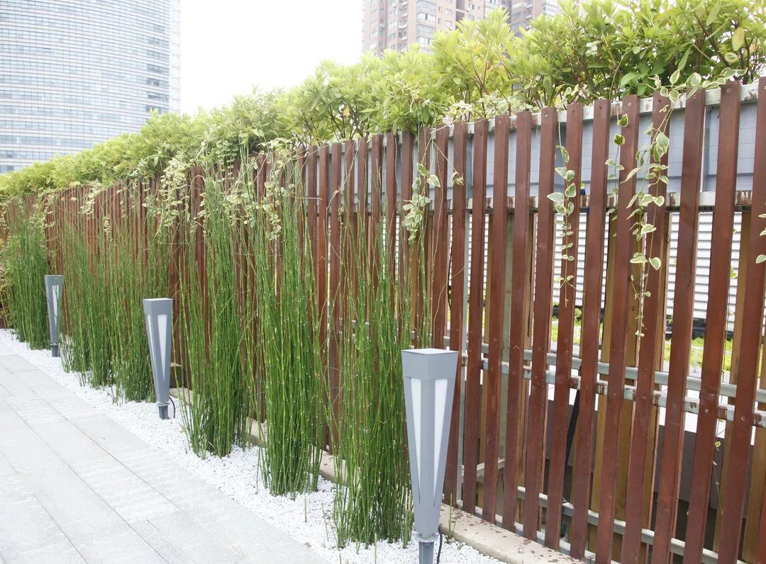 格栅上的垂直绿化,与芦苇花遥相呼应,清风徐来翩翩起舞木质露台可登高
