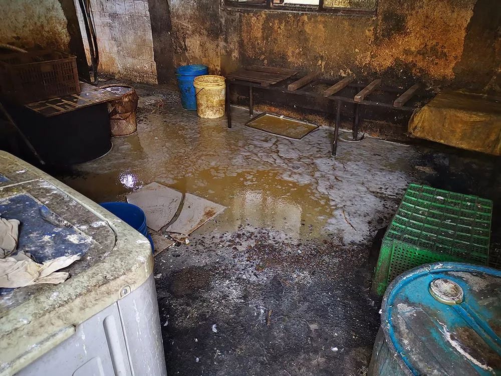 令人作呕!宁夏这2家无证豆腐加工小作坊被查!