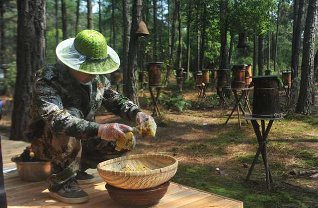 一天賣4000斤85後養蜂人搭上淘寶直播做大甜蜜事業