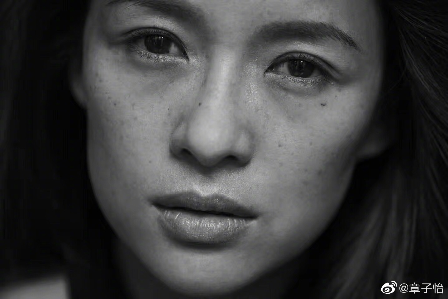 章子怡发文悼念已故摄影师曾合作拍摄黑白大片