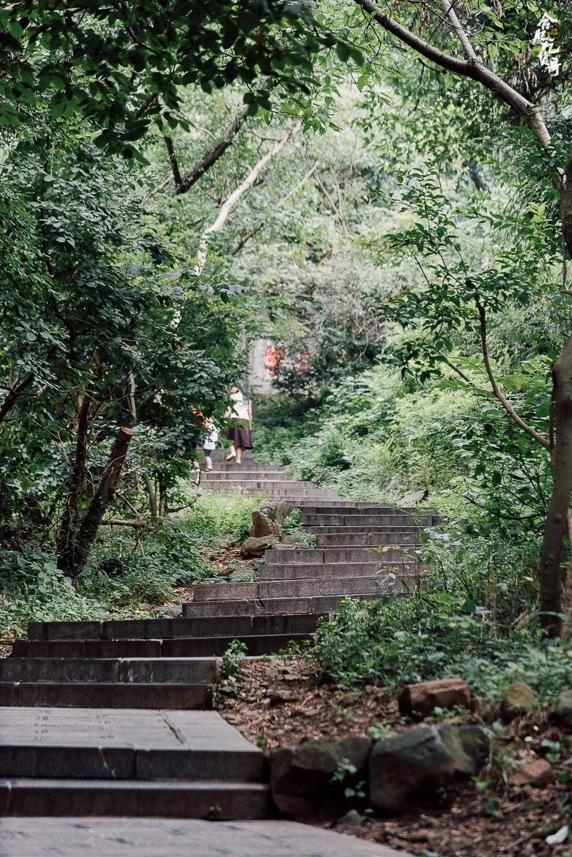 大蜀山山顶图片