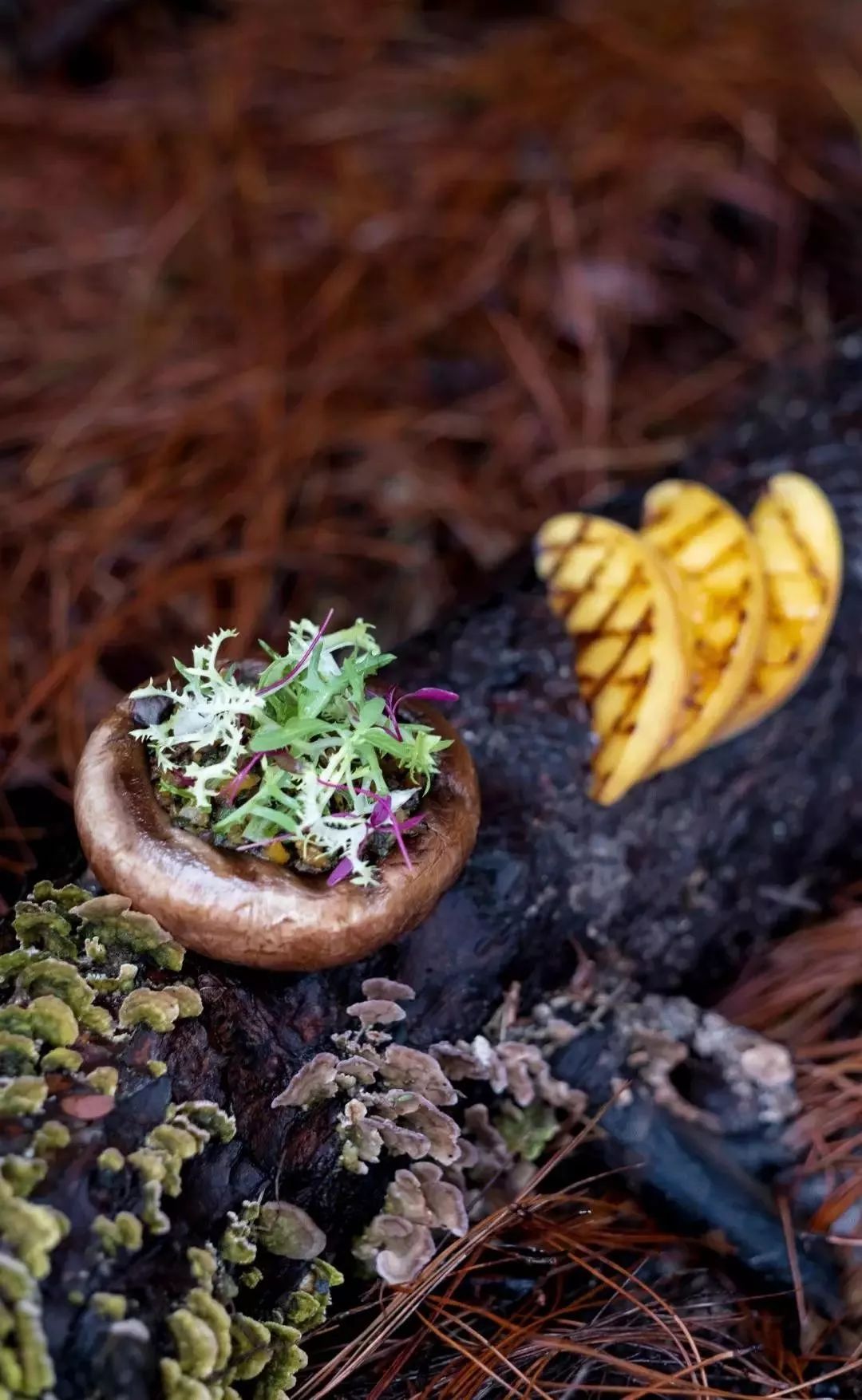 matsutake tofu(二)南乳桂花藕配石榴醋fermented red beancurd