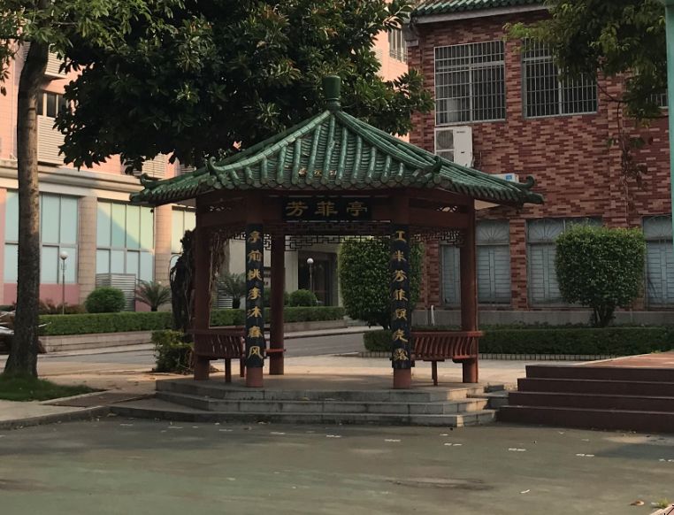 新生攻略丨小团带你揭开荔湾校区的神秘面纱