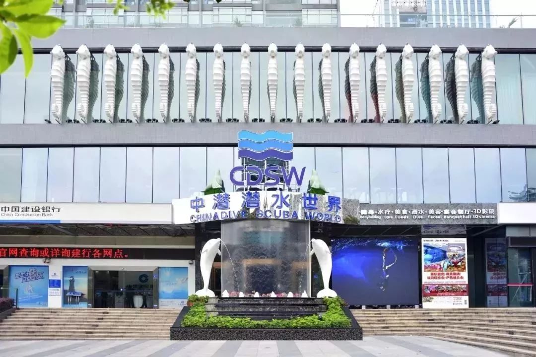 你身边的padi深圳中潜潜水世界