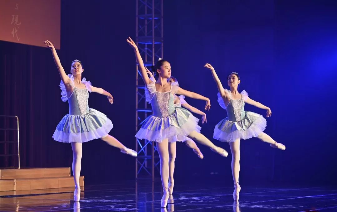 凤凰于飞于彼高冈香港中文大学深圳2019年度迎新晚宴