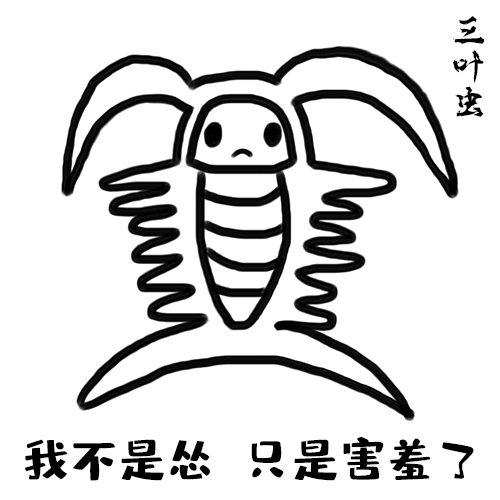 三叶虫三叶虫长得很奇特,身体分为头,胸和腹三个部分