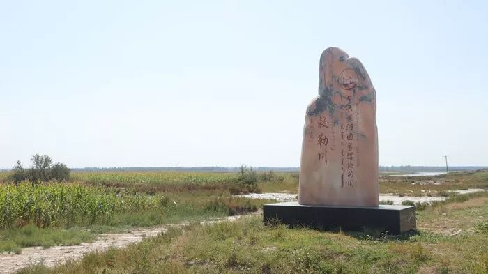 關注土右旗敕勒川包頭黃河國家溼地公園驚現60畝人工魚塘