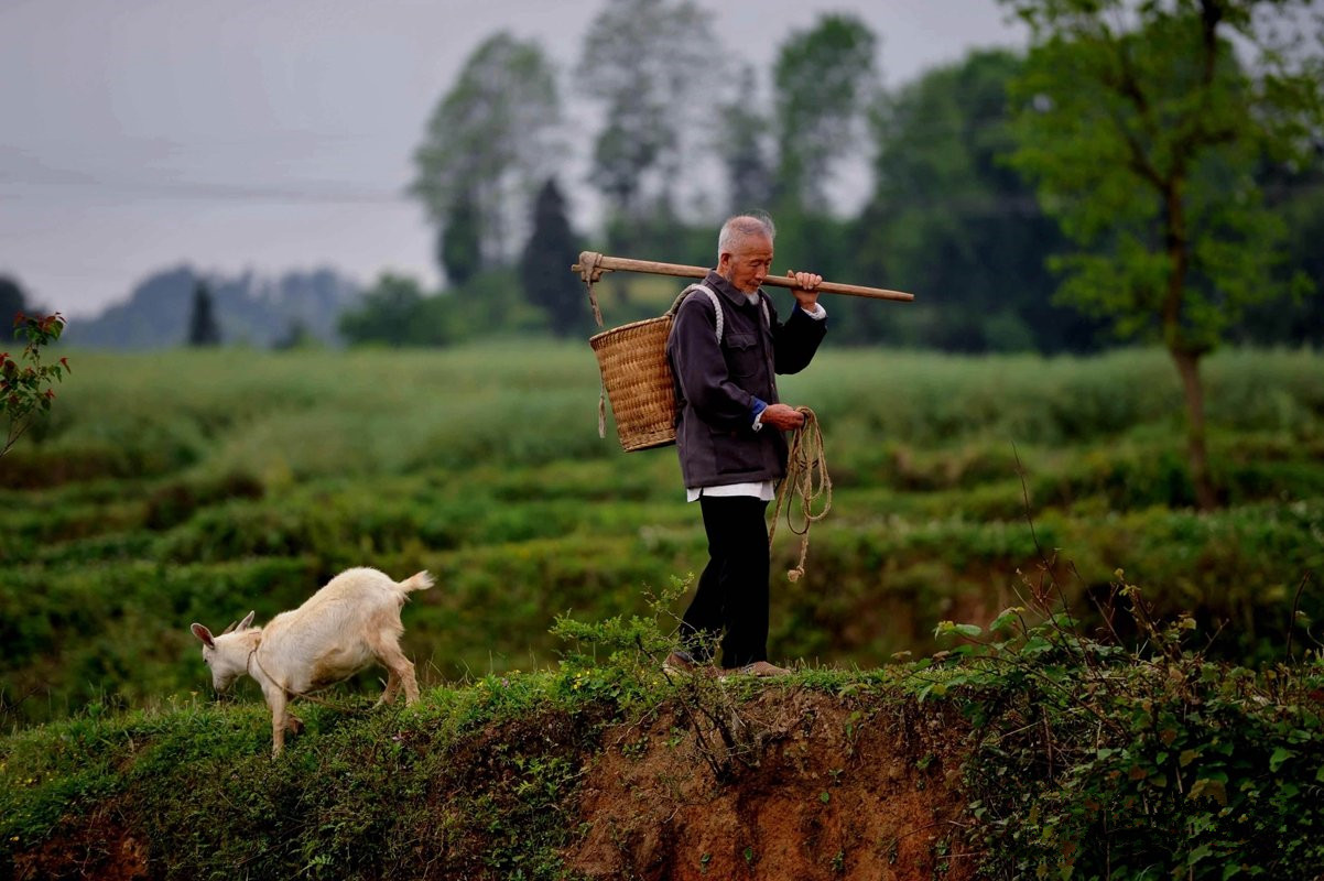 镜头下105岁老人耕耘扫地做农务看起来比儿子还年轻