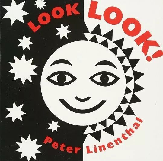 还有这套 《视觉训练卡》,一盒黑白卡,一盒彩色卡,书中都附有详细的