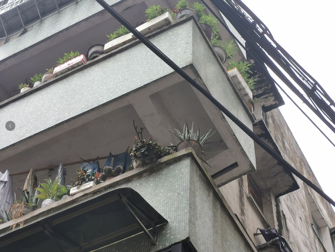 青田又见高空坠物校场路人行道一花盆从天而降