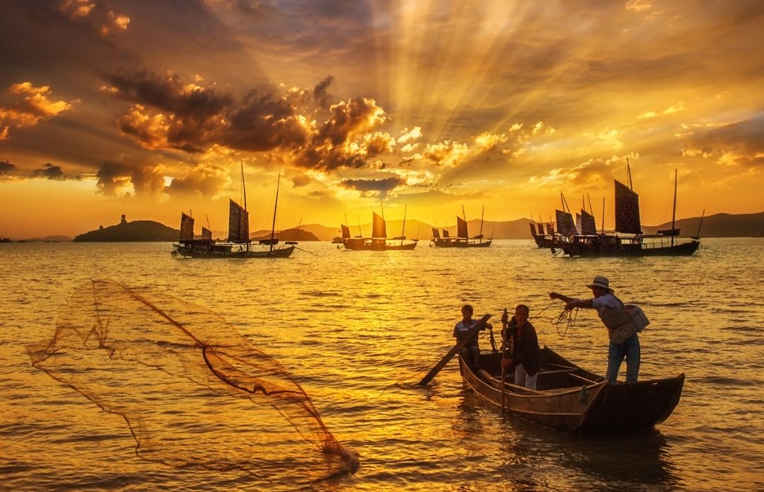 围观金秋时节扬帆起航鼋头渚抖音震撼上线