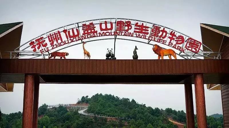 抚州仙盖山动物园图片