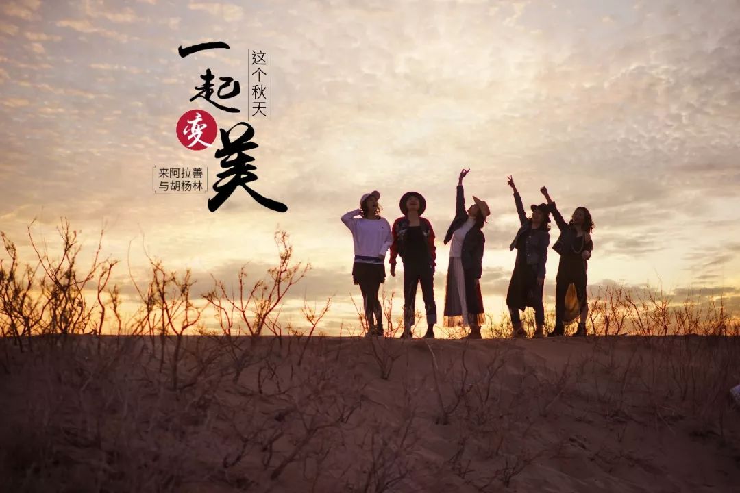 九月来额济纳胡杨林与胡杨一起变美