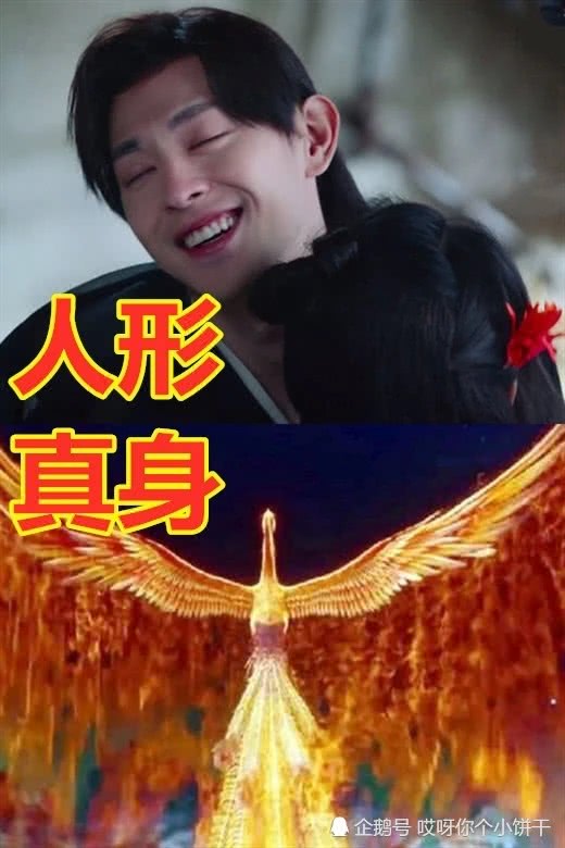 同样是魔尊真身旭凤高贵重楼稀有看见图4妖莲真身我酸了