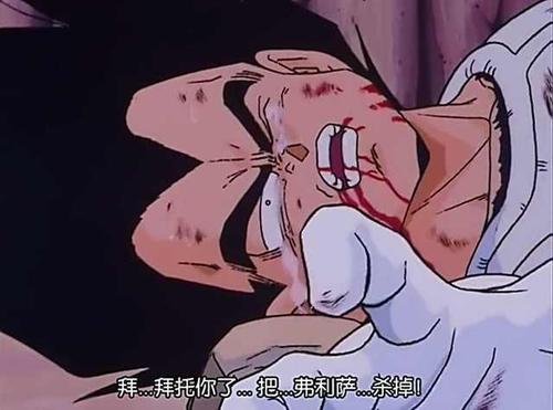 原创龙珠细数贝吉塔被吊打之路逼神立马变怂逼