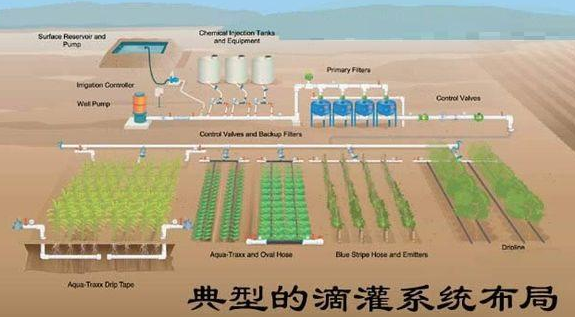 滴灌已经成为历史智能灌溉系统为什么比滴灌牛