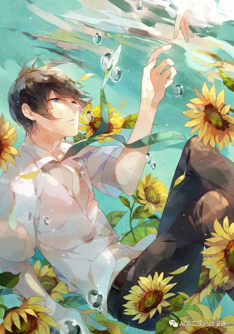 壁纸7878向日葵特辑589期