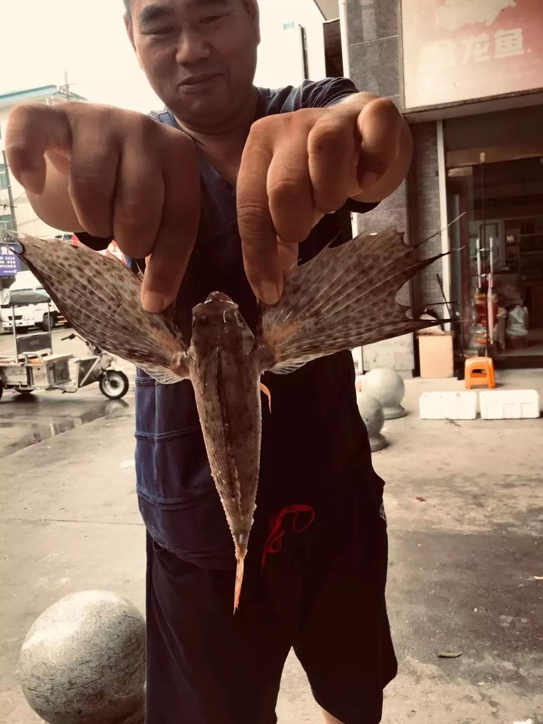 怪怪怪强蛟渔民捕到飞鱼谁知道ta叫啥