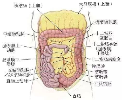 被迫熬夜12点后才能睡着问题出在哪里