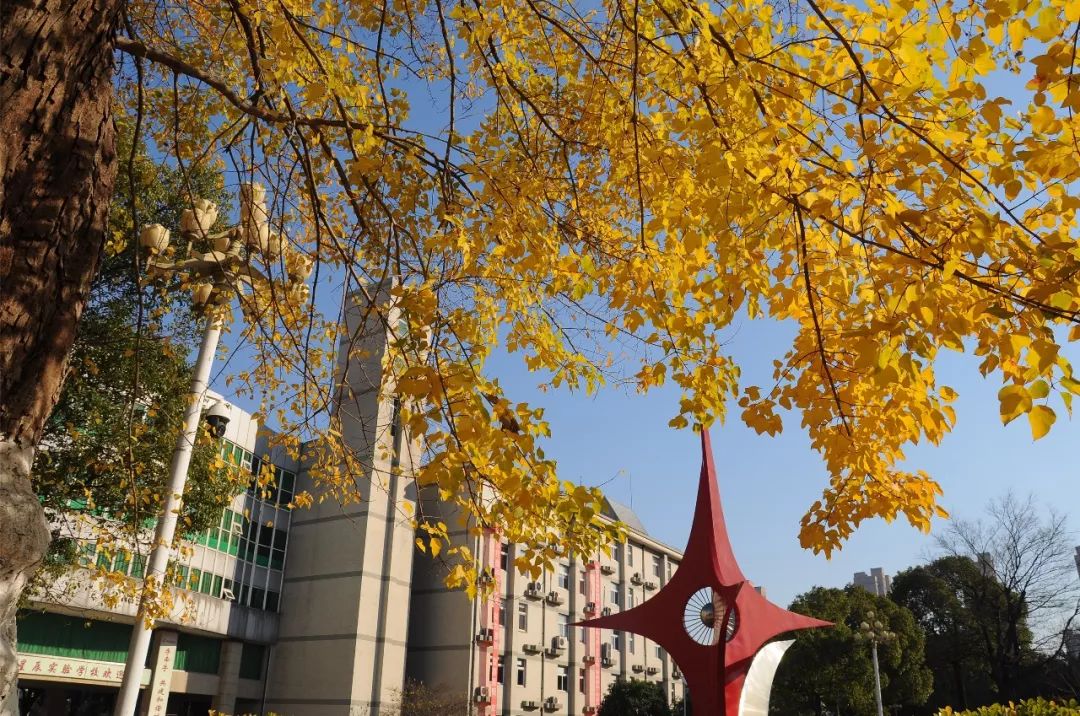 星辰实验学校