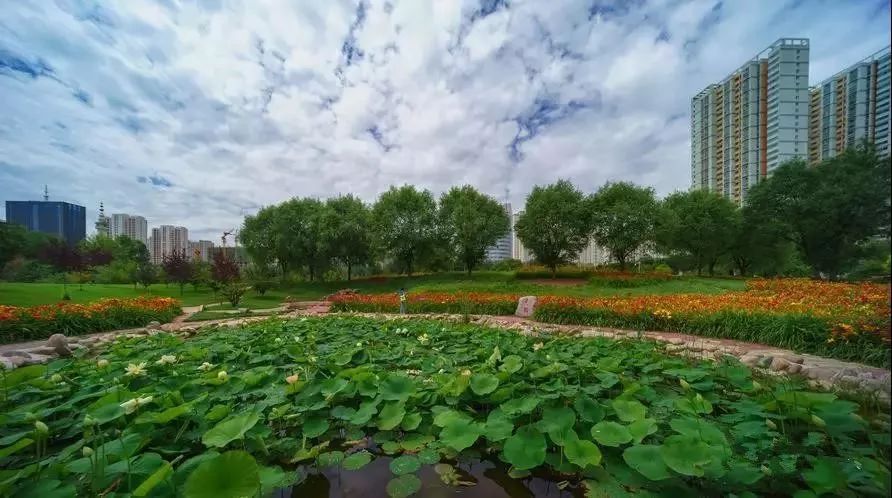 溼地讓西寧大地更加迷人(圖片由老漢天團新媒體聯盟提供)杜清華說