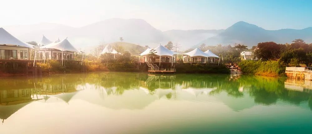 06699起抢曾卖到8000元的安吉帐篷客万亩茶园间观星揽月吃喝玩乐全