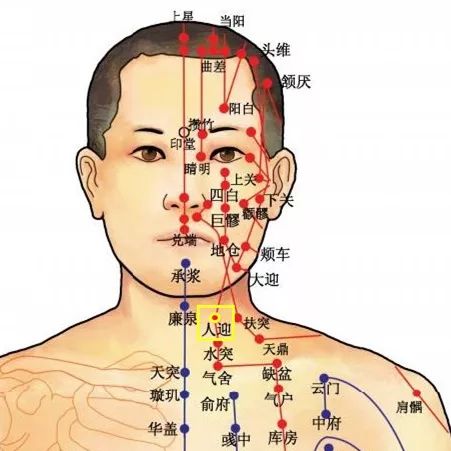 人迎脉位置图片