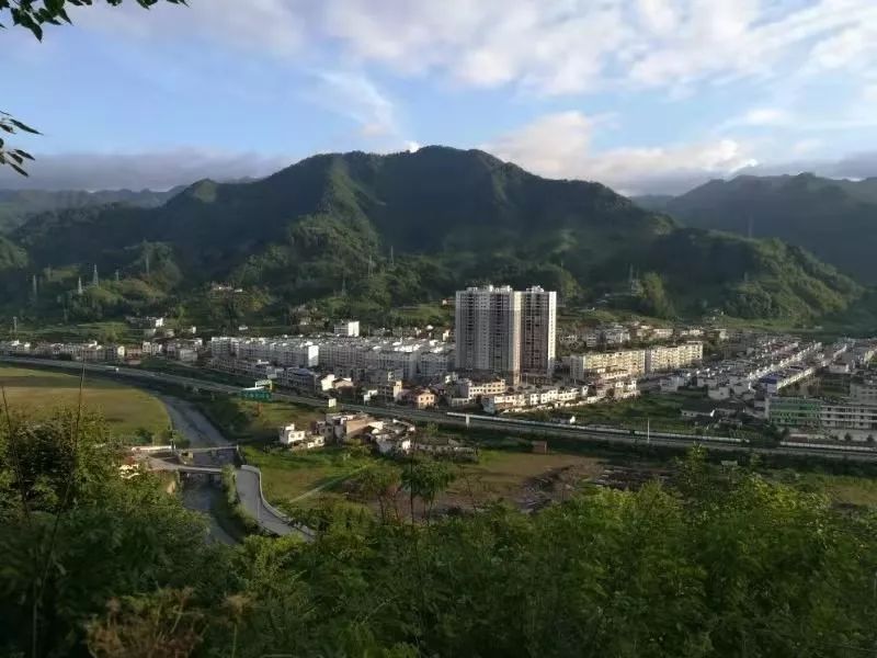 紫阳这个镇上了安康日报头版头条