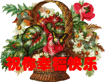 336_262gif 动态图 动图