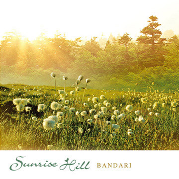 thefoggydew迷雾水珠爱尔兰哨笛