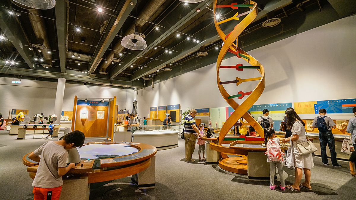 原创香港本地人孩子最多的地方不是迪士尼和海洋公园而是香港科学馆