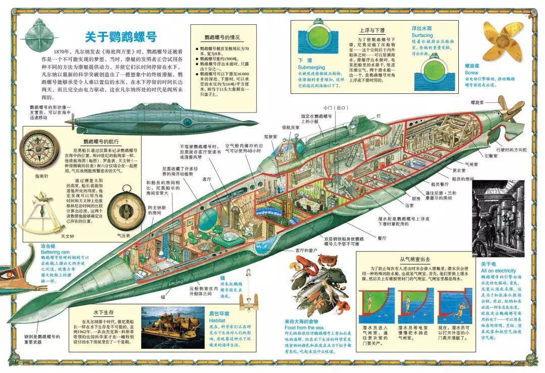 鹦鹉螺号 步骤图片