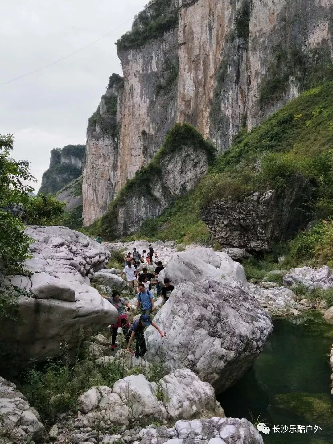 【鴻天康逸搖搖橋 溫泉】 返回搜