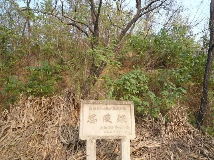 思陵冢思陵 ① 拳拳, 宛丘之南 ② .才高八斗 ③ ,闻之仰叹.