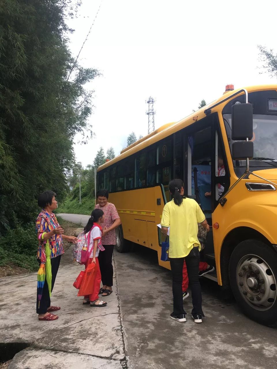 太好了台山已经实现校车全覆盖