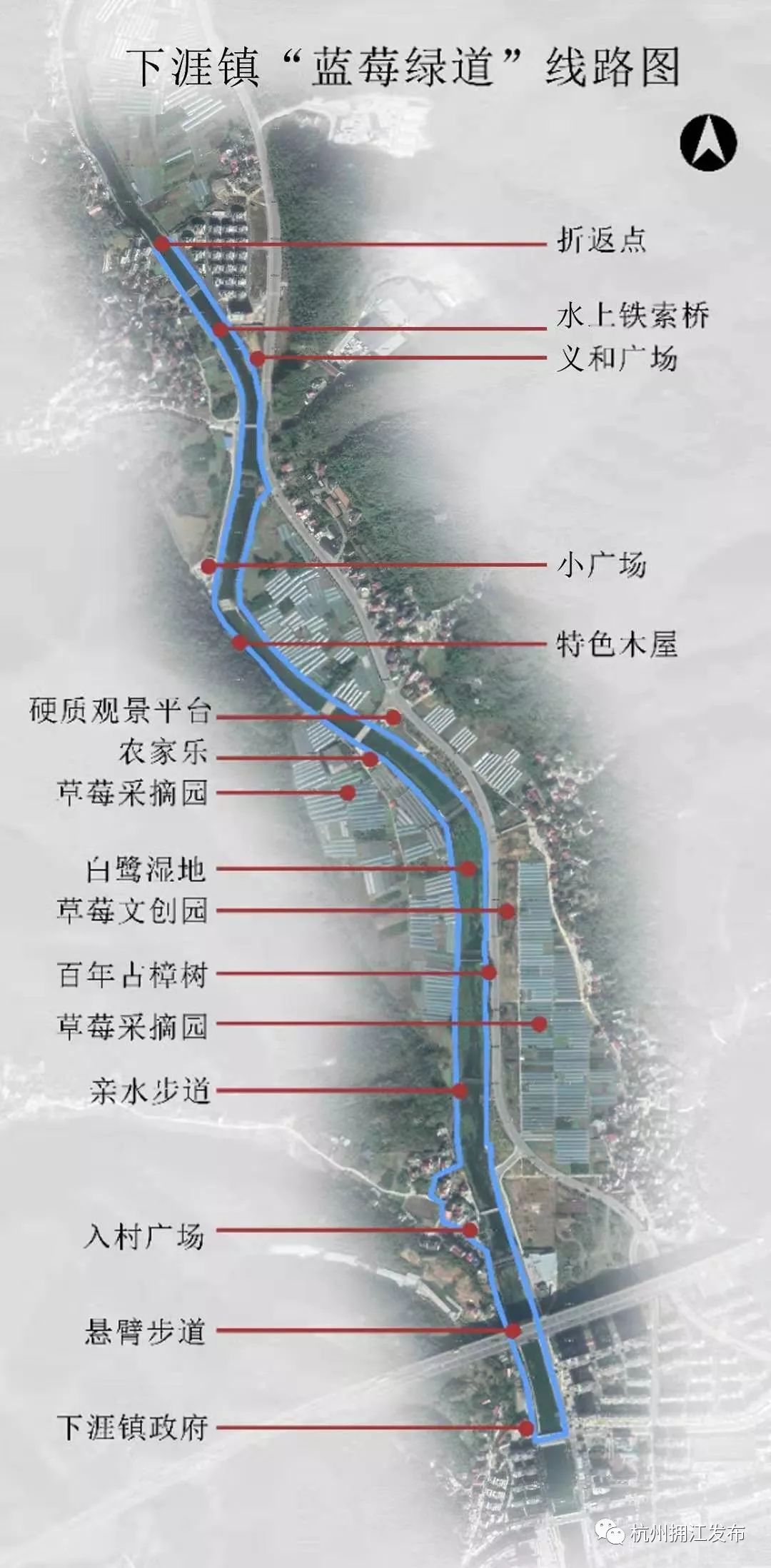太梦幻建德又多了条蓝莓绿道