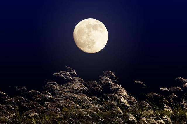 赏月更赏乐月圆八月半,香积中秋夜,秋意渐浓,桂花飘香,清风明月,正是