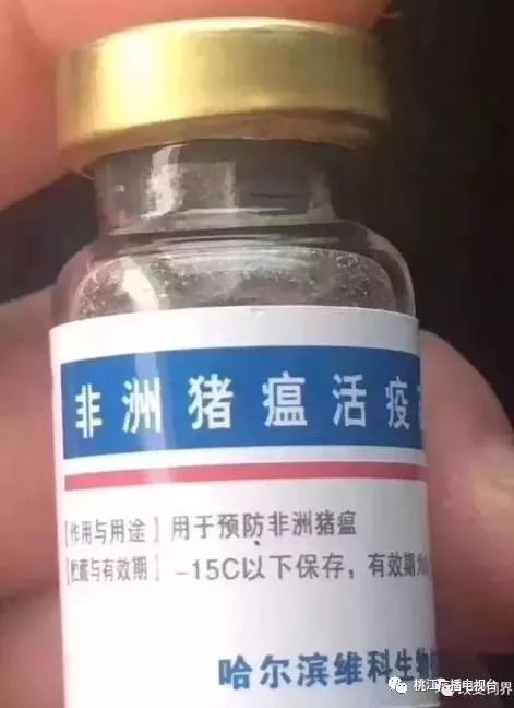 牛疫苗研发与应用新进展