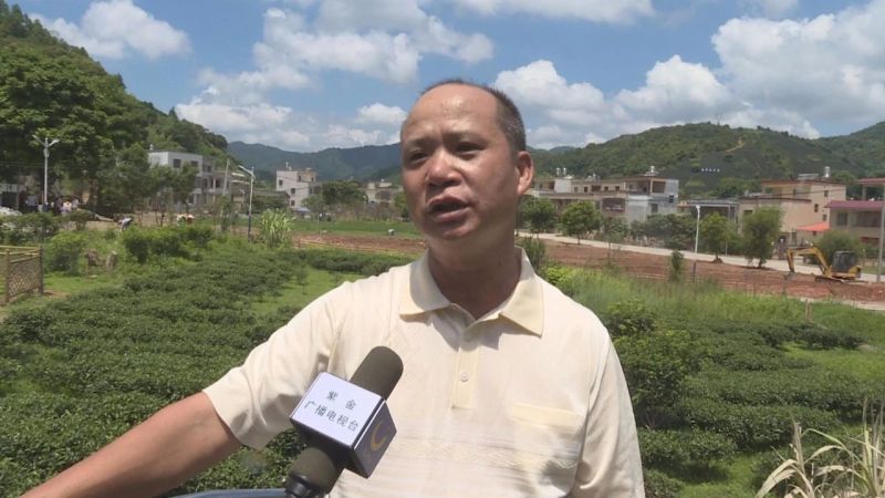 彭坊村民 黄绍雄在龙窝镇的嶂下,彭坊,排楼三个村,连片打造成茶文化