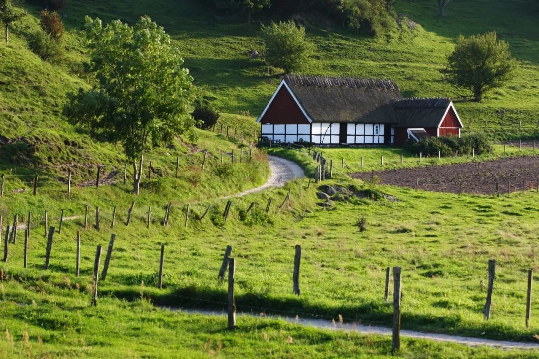 斯科纳,爱上瑞典自然的10000个理由!