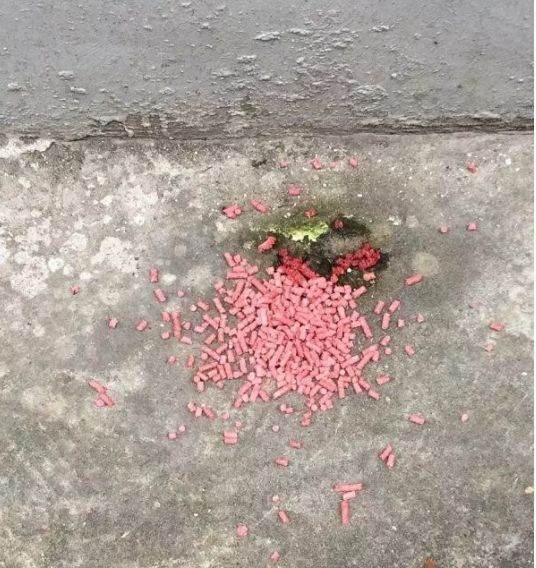 细思极恐常州2岁幼儿误食老鼠药后