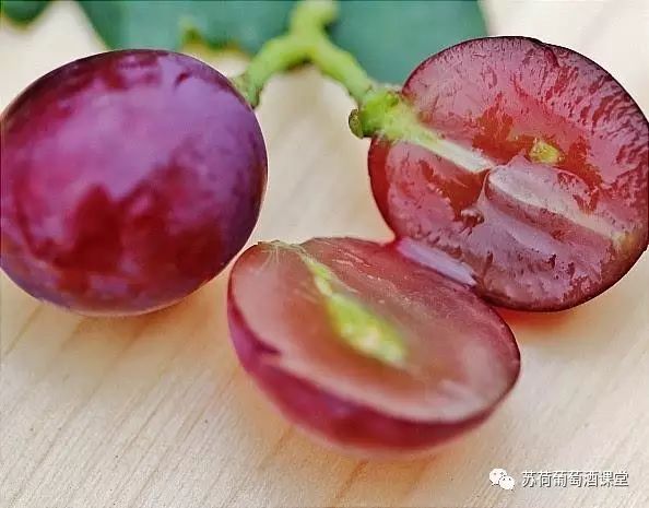 总看到把单宁说成是单宁酸,那么,单宁真的酸吗?-搜狐大视野-搜狐新闻
