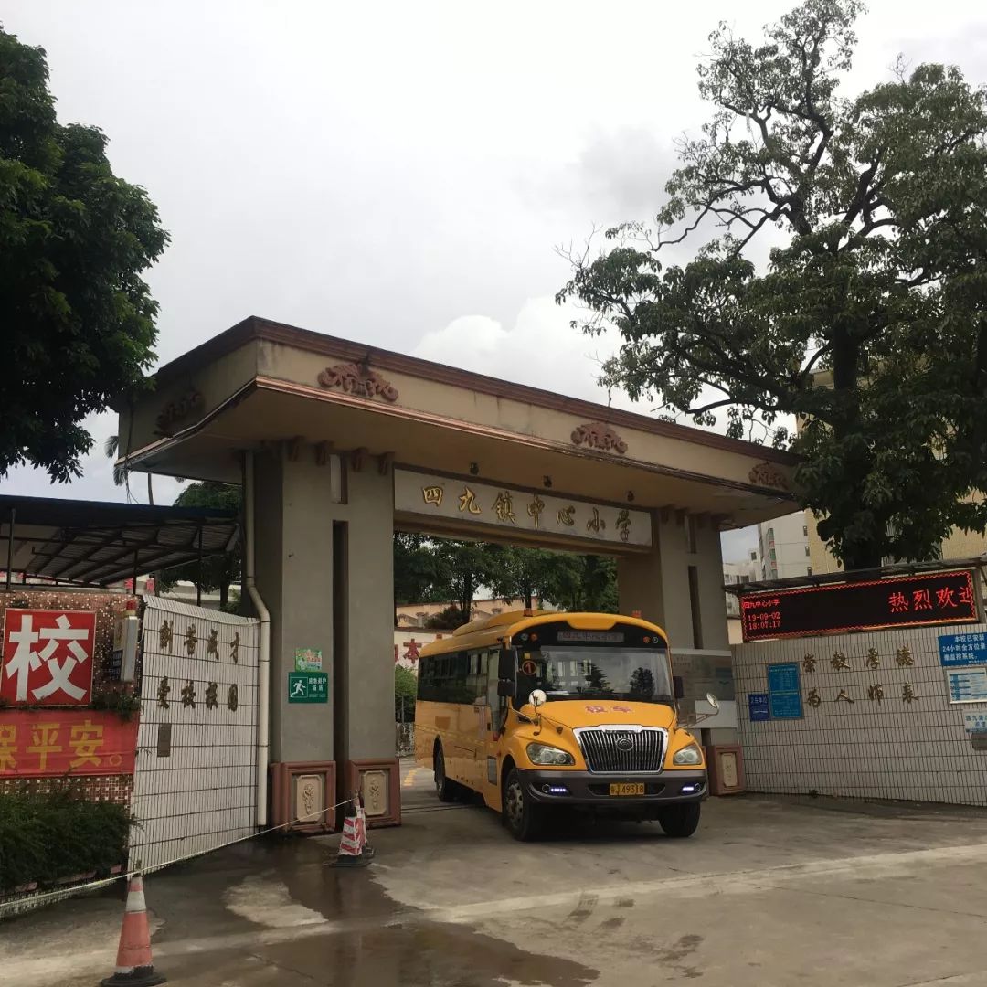 台山市四九镇中心小学图片