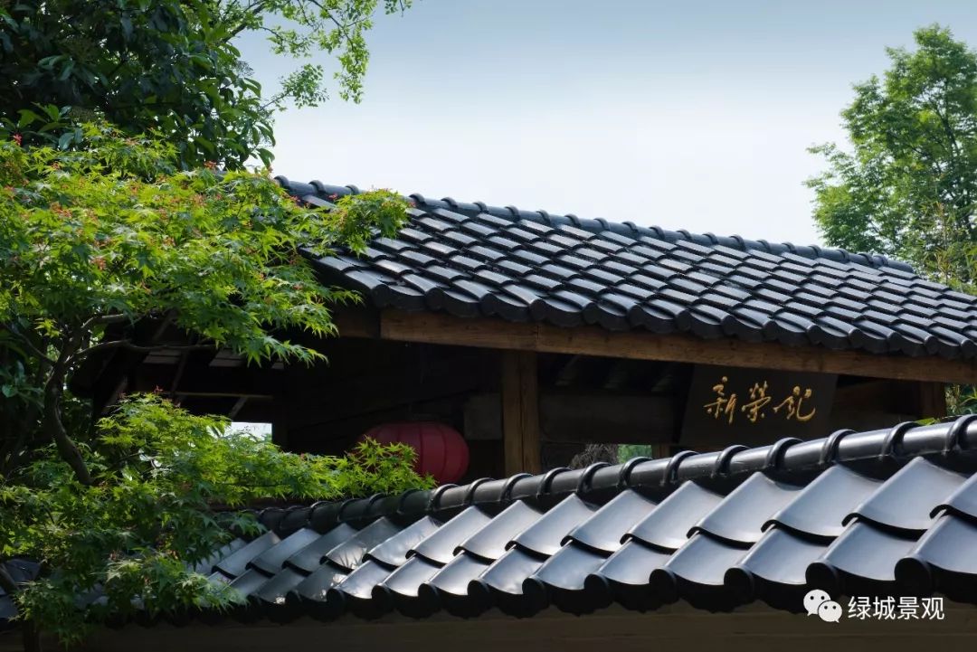 西溪里的一处禅意小庭院,美