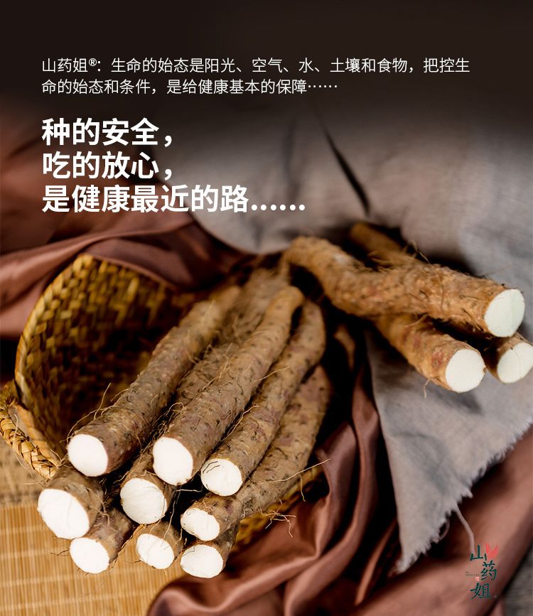 供应商简介山药姐专业做温县垆土地铁棍山药,同时以温县垆土铁棍山药