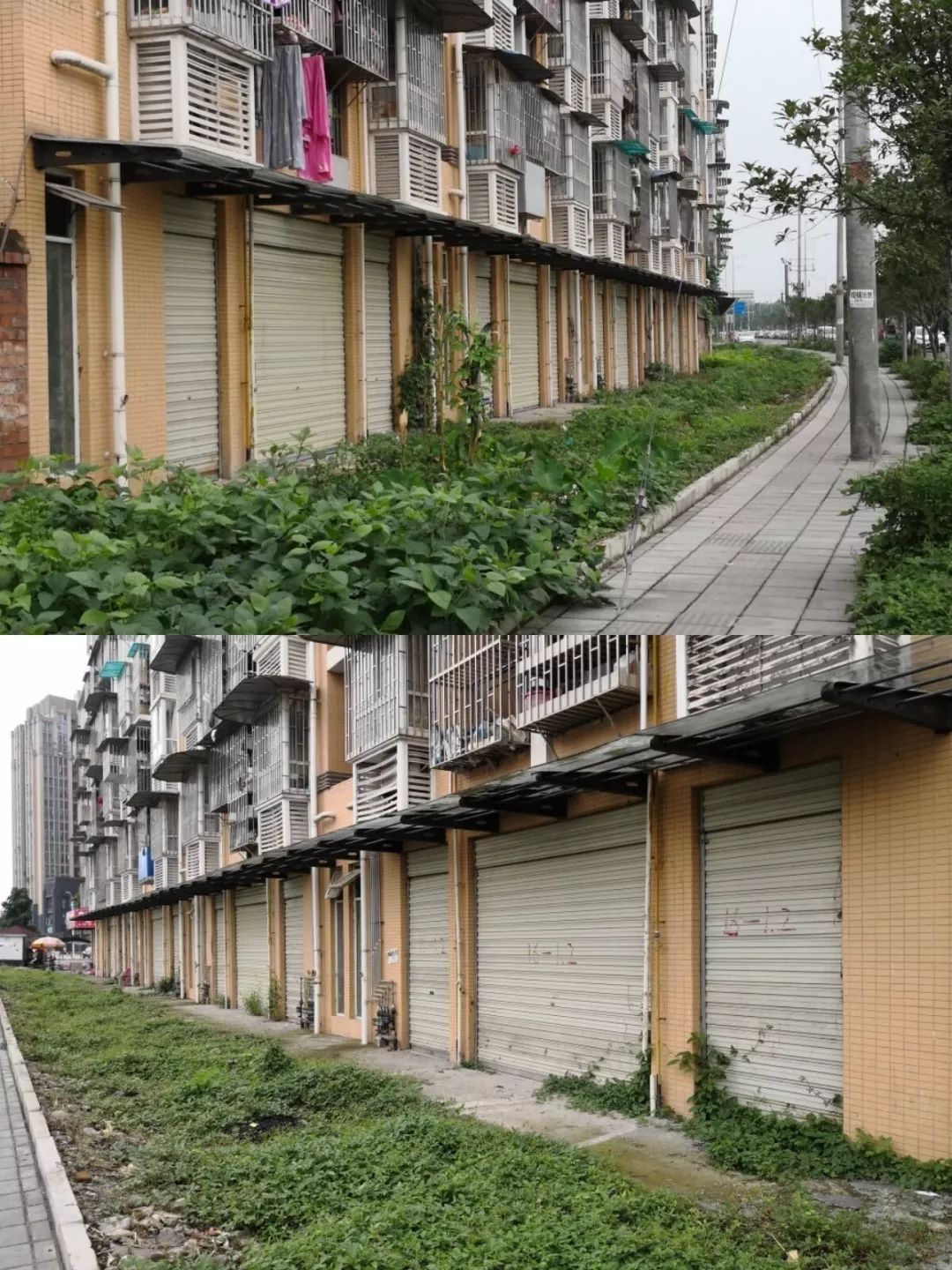 現場實景羊安安居工程一期商鋪概況位於邛崍市羊安鎮九龍大道羊安安居