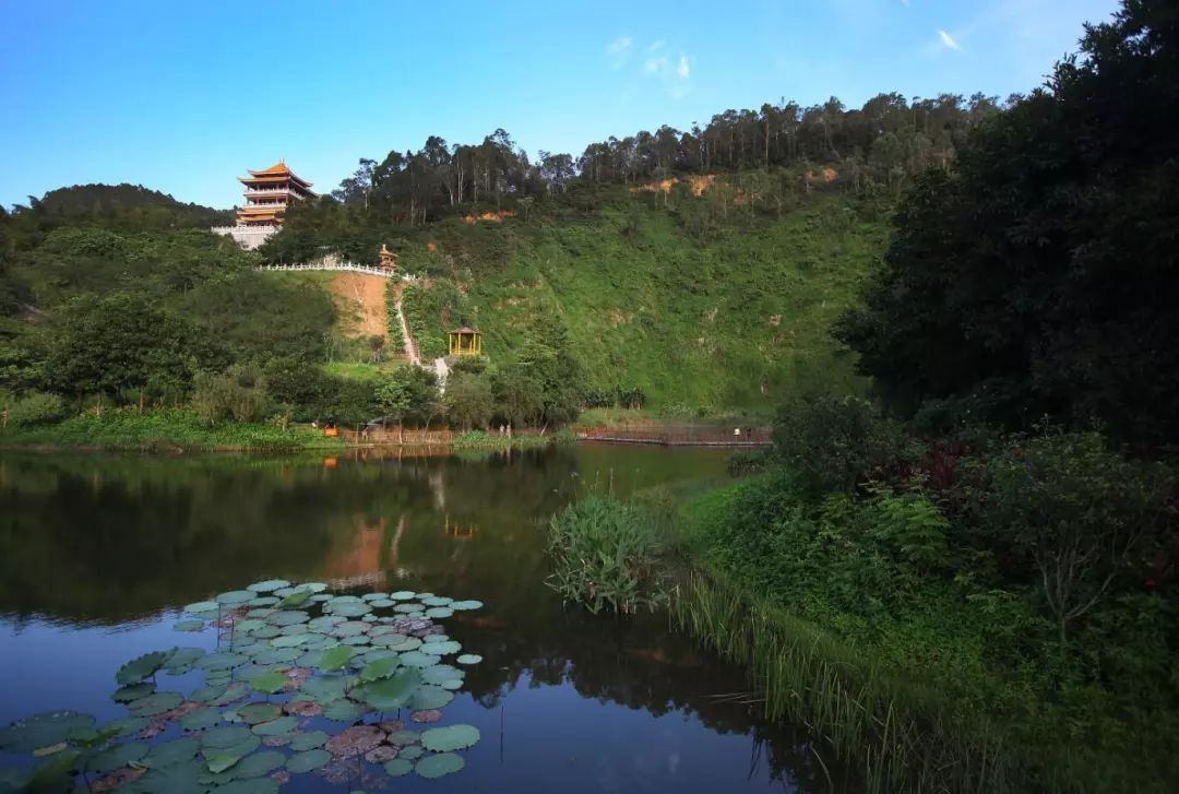 剛剛東莞又出名了登上中國最吸引年輕人城市榜單第13名