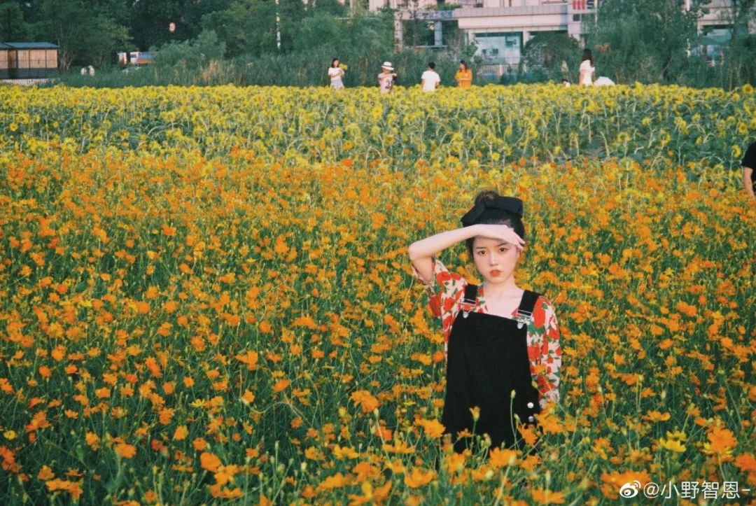 让人心动的满屏少女感,就应该这样拍!_ins