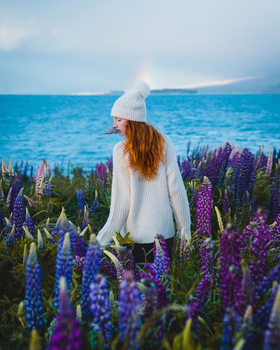 太美了!新西兰的春天,比想象中更好看